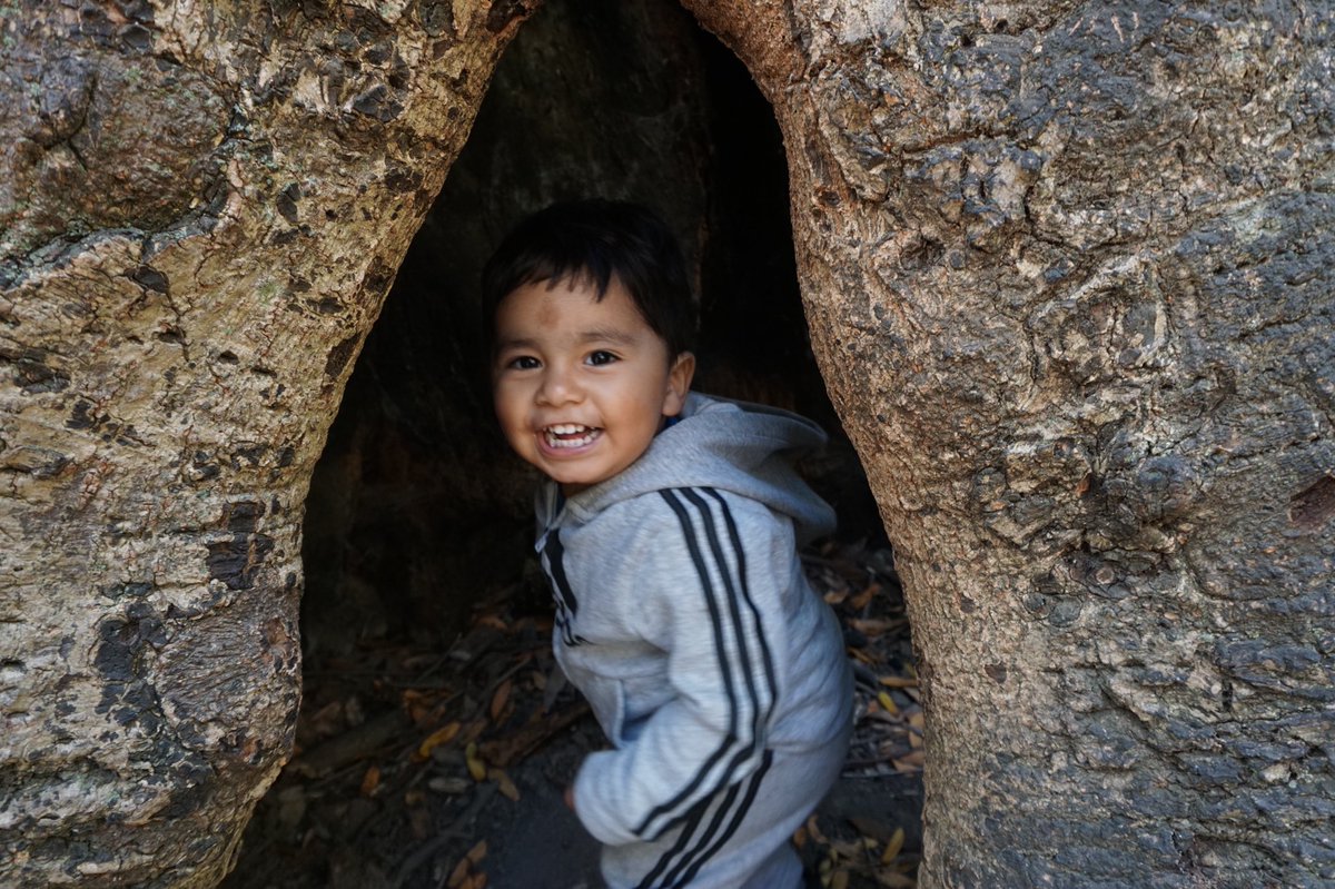 selunaphoto's tweet photo. Alex at Alvarado Park 

#naturephotography #livephotography #portraitphotography #photography #photo #nature #alex #seluna #perez #selunaphotography #selunaphoto #sonya6000 https://t.co/LXQyJp9UK9