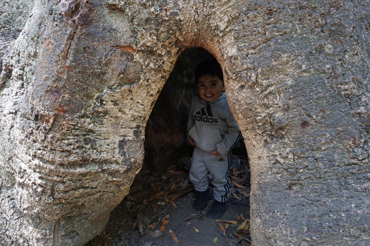 selunaphoto's tweet photo. Alex at Alvarado Park 

#naturephotography #livephotography #portraitphotography #photography #photo #nature #alex #seluna #perez #selunaphotography #selunaphoto #sonya6000 https://t.co/LXQyJp9UK9