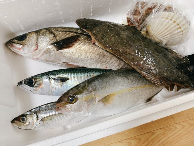 今日は豪勢です 