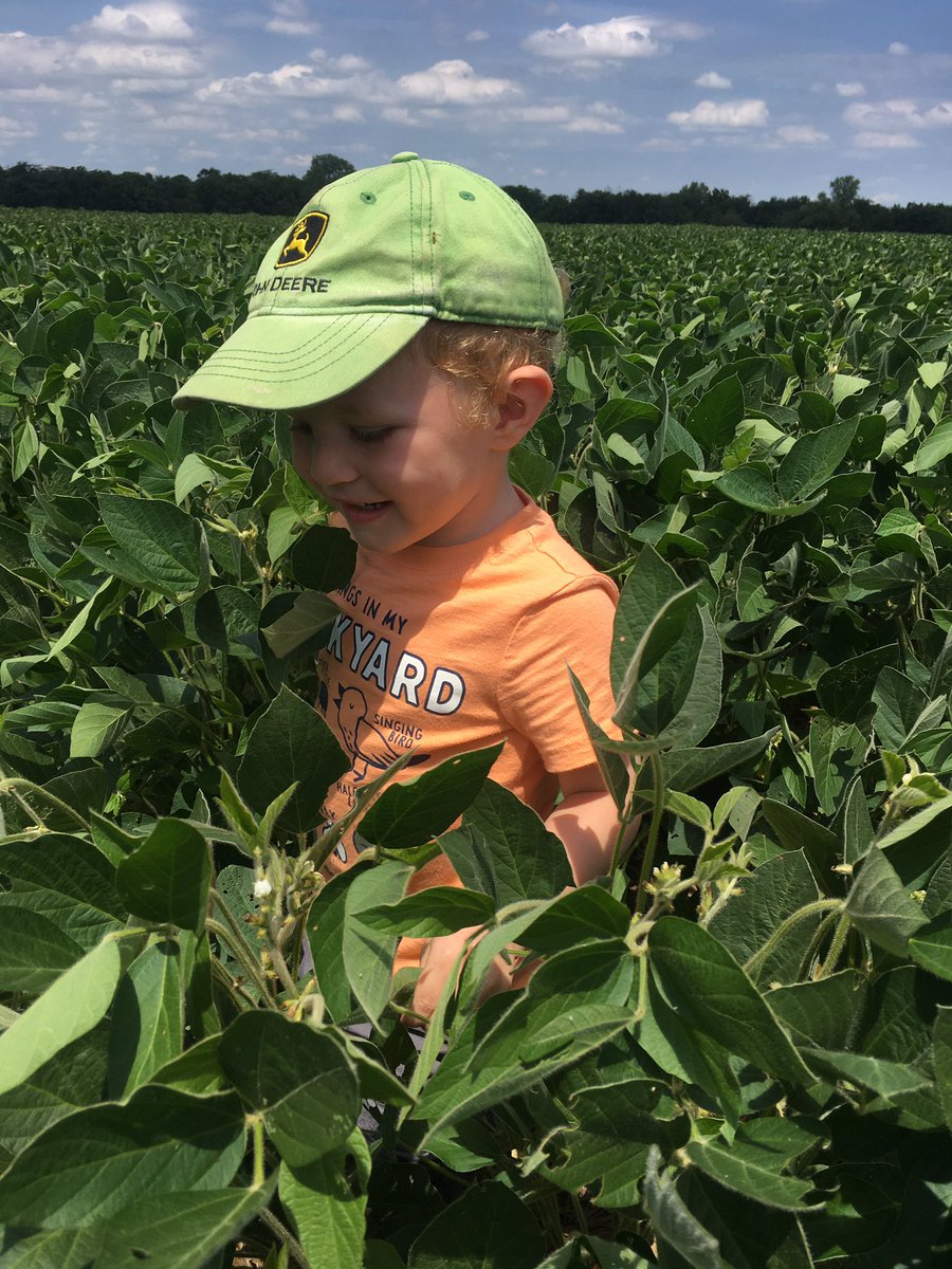 Grace Looker tweet media