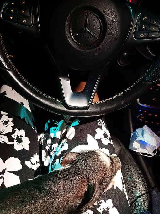 It's official the name diamond it is . Although i call her a million different things right now. Shes