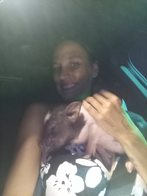 It's official the name diamond it is . Although i call her a million different things right now. Shes