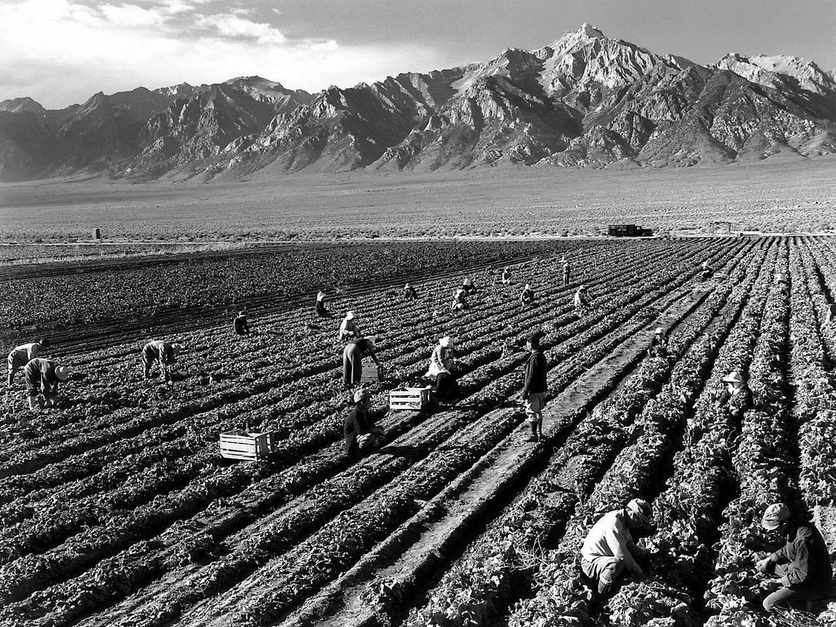 Farm workers do incredibly dangerous work, and this work is essential. Why aren’t they protected?Why did it take decades to make even small changes to the working conditions of the men, women and children who work in the fields?What “established practice” is being protected?
