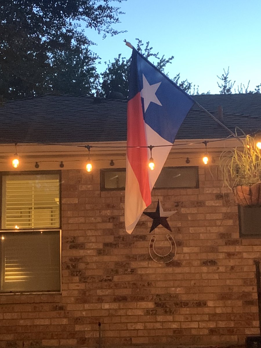 Tracey H tweet media