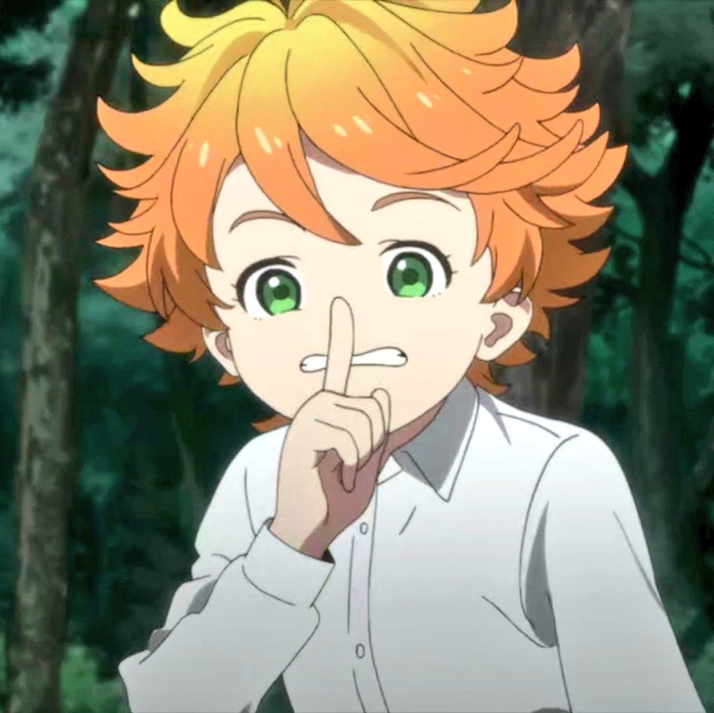 The Promised Neverland: Emma's Birthday – Edomonogatari