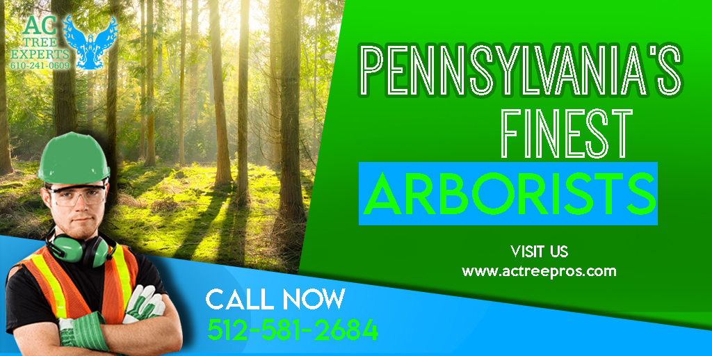 ACTreeExpertsI1's tweet photo. team of expert and well-trained arborists 💪👷🌳❤️
#ACtreeexperts #treeremoval #treeservice #treecare #treepruning #emergencytreeremoval #247treeremoval #arborist #besttreeservice #reliabletreeservice #affordabletreeservice #professionalarborist #treeserviceprojects #extonpa https://t.co/VylLGNQa94