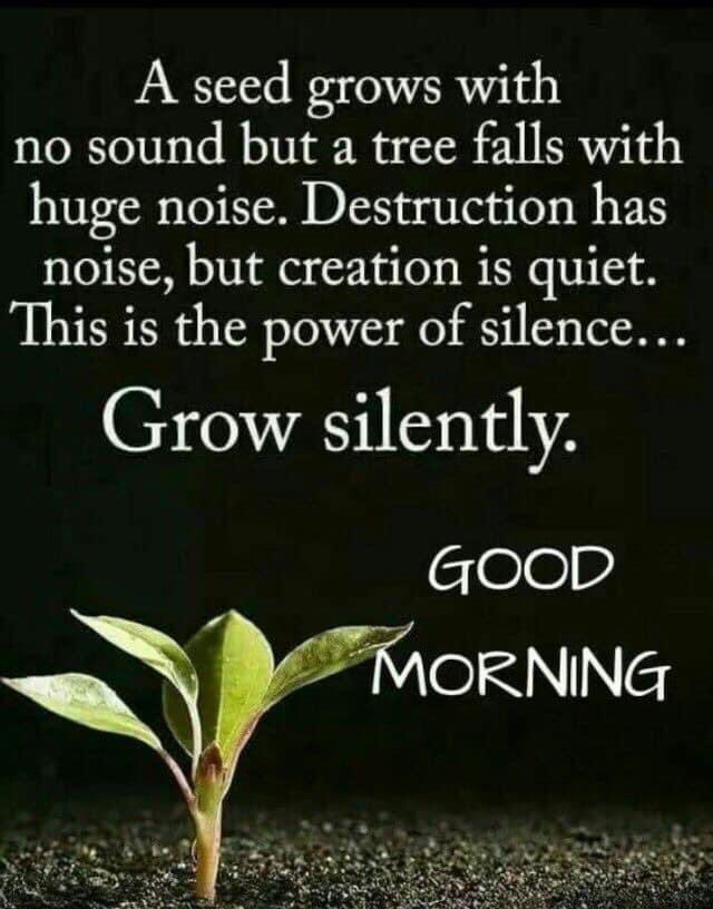 Dr. Armeena Tabassum (@armeenamin) on Twitter photo 