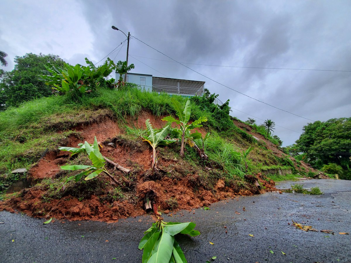 Katyria (she/her) tweet media