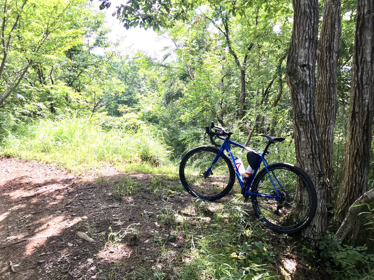 noicycle's tweet photo. 本日のグラベル🚴♂️新たな発見の道。かなりの山の上だったけど、いい天気で楽しいライドだった。やっぱりグラベルは楽しい。 #trekcrockett5disc #ircboken https://t.co/QV5CTuEOgx