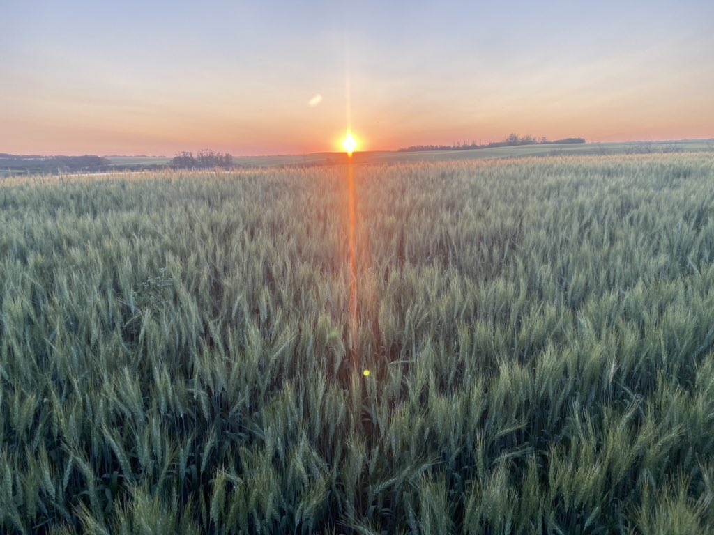 shredpath's tweet image. 