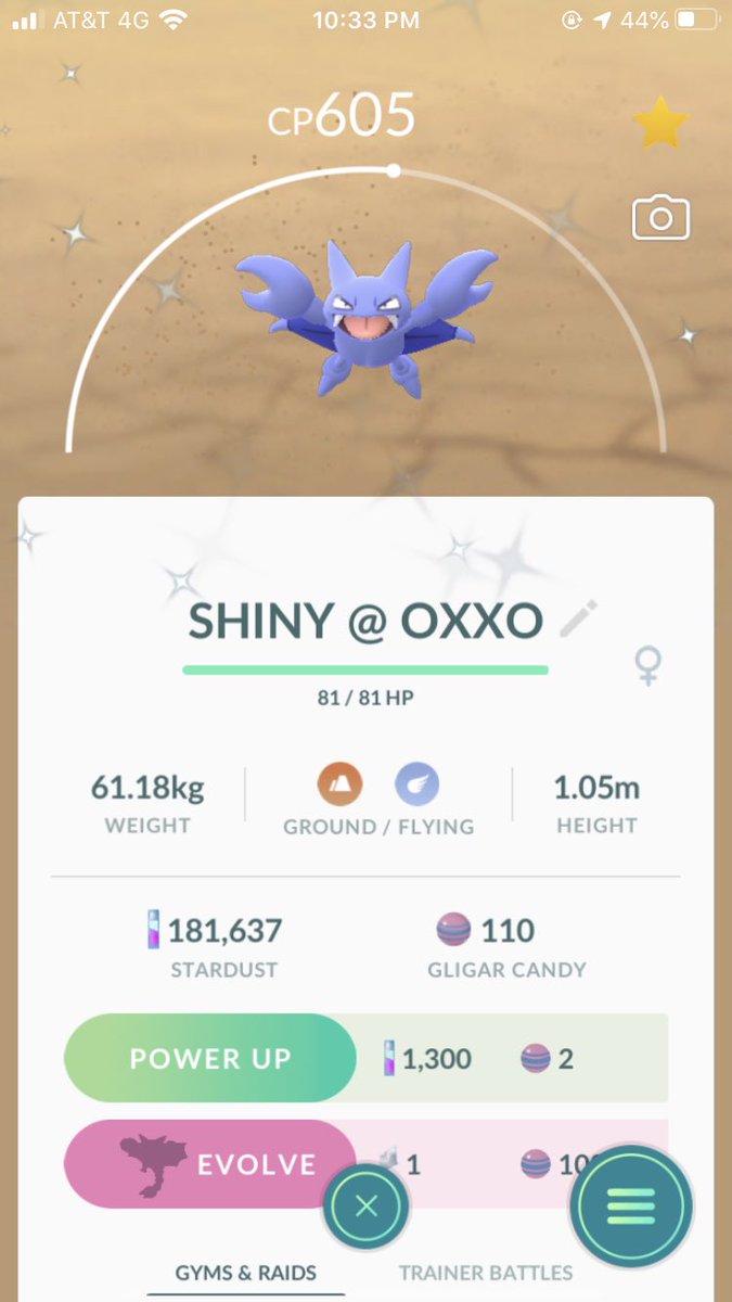 OhSomeBlossom1's tweet photo. SHINY GLIGAR!!!!!! π±π±β¨π±β¨π±β¨ #PoGoShinyHunters #OhSome #PokemonGo #OMGSHINY https://t.co/zEFzAm7HsW