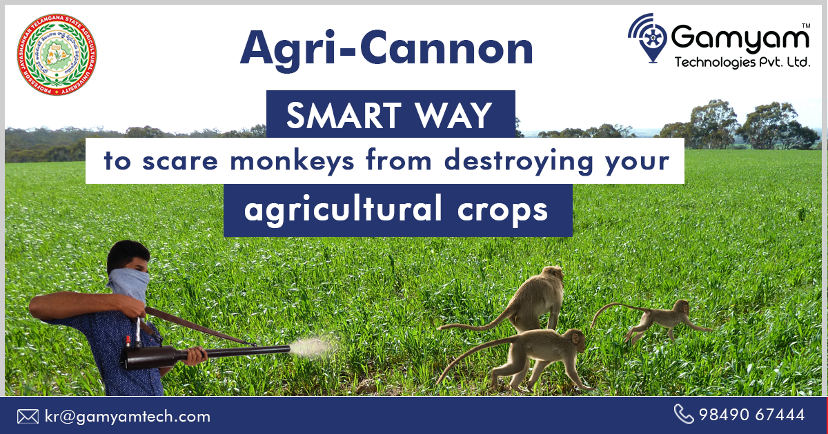 ABRConserv's tweet image. Agri- Cannon: Smart way to scare Monkeys from destroying your agricultural crops
Learn more: agrigamyamtech.com
Contact us @+91-9849067444
#protectcrops #monkeyscarerdevice #deerscarer #birdsscarer #animalrepellent #savecrops #agriculturalinnovation #birdscrerdevice