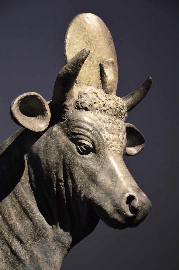 The Apis Bull was a popular divine image of fertility in 3,000 BC Egypt, as the patron deity of Memphis. Within the traditional Igbo religion Odinani, followers worship the alusi Ikenga: a representation of determination, with two horns to represent self-will.