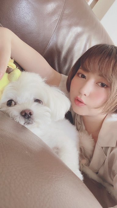 コスプレイヤーよるるのTwitter画像37