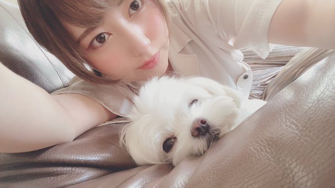 コスプレイヤーよるるのTwitter画像36