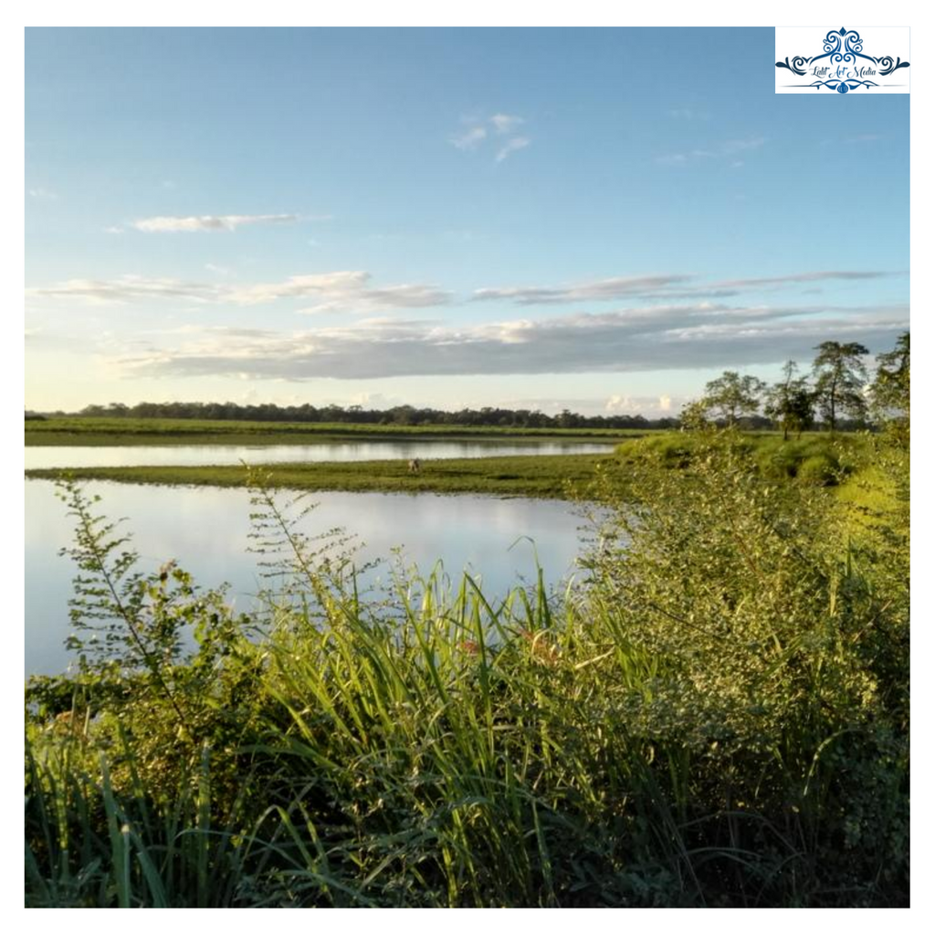 art_lalit's tweet photo. Kaziranga National Park
Home to the largest population of the one-horned rhino on earth, Kaziranga National Park is one of India’s national treasures in terms of flora and fauna.
#kaziranganationalpark #touristattraction #travel #Assam #Assamtourism #Nature #Sunrise #Morningview https://t.co/W3TjMMuJ8w