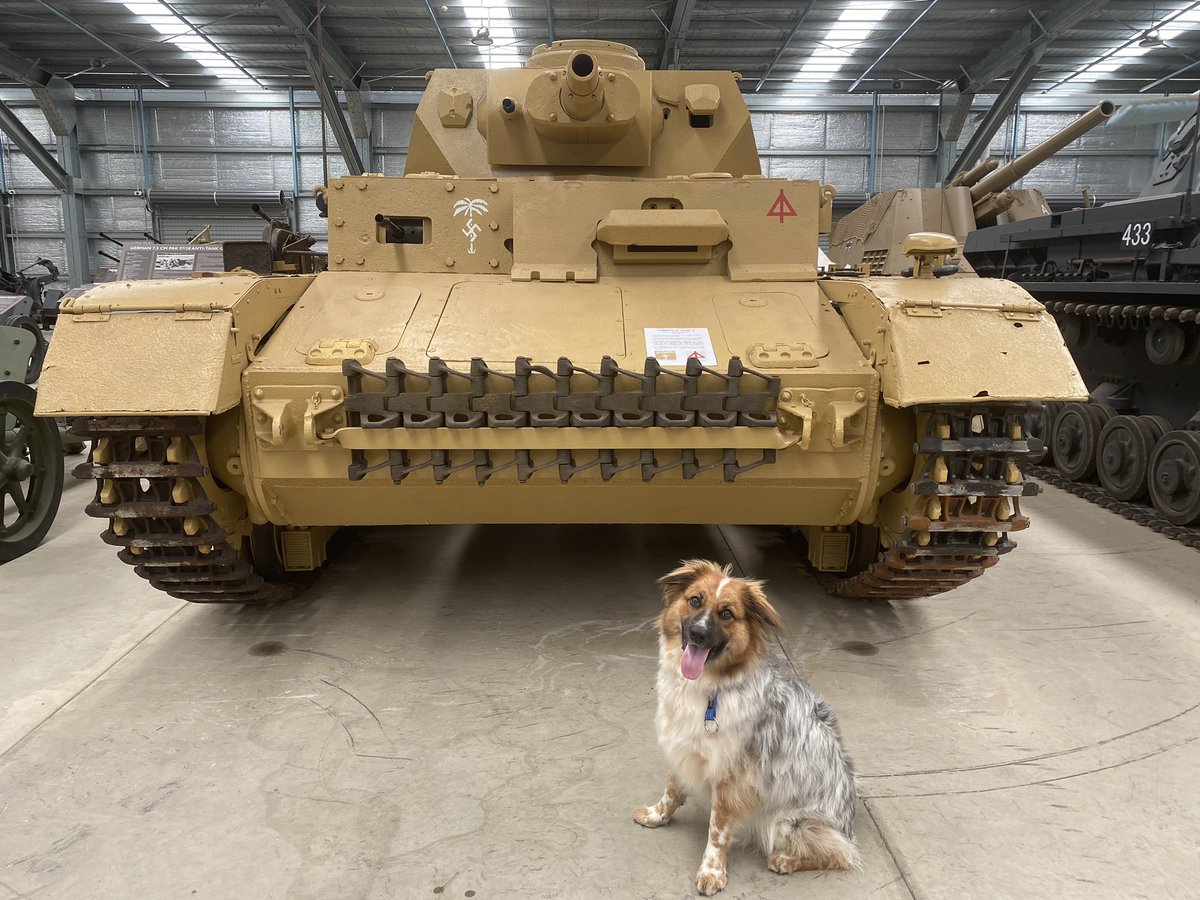 Ausarmour's tweet photo. While we were in Covid shutdown we had a furry friend come and visit 🐶 

Heidi the Aussie Shepard, belongs to one of our staff members who bought her out for a little visit! She found her favorite tank, Panzer IV E, in the German section of the Museum! 💛 https://t.co/61ifxFy2KO