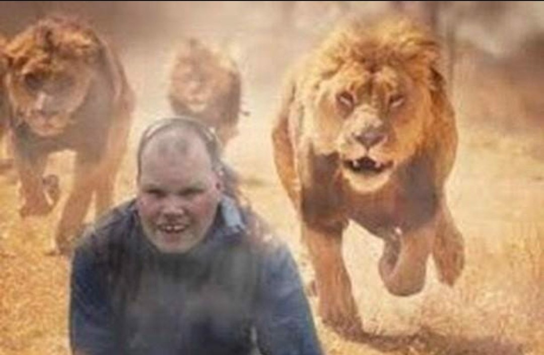 frankiemacd's tweet image. Here is a picture edit of me running from the lions.
