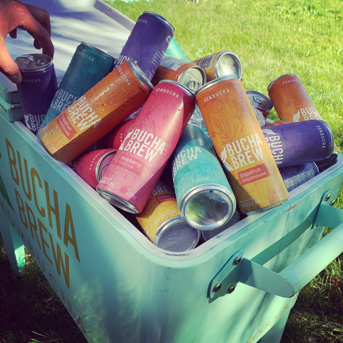 Bucha Brew Kombucha tweet media