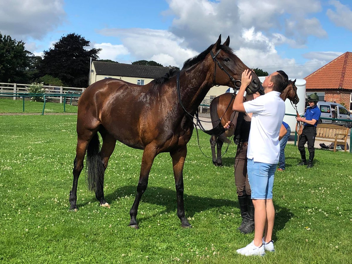 PKirbyRacing's tweet photo. What a beautiful morning for @hopeedenracing stable visit! A lovely morning on the gallops watching En Meme Temps and Lady Kyria 💙❤️ https://t.co/fDsuxqSciO