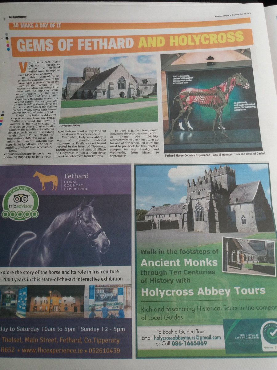 Fethard Horse Country Experience tweet media
