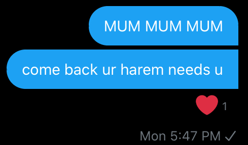 i’ve become resigned to the fact that my mum runs a harem