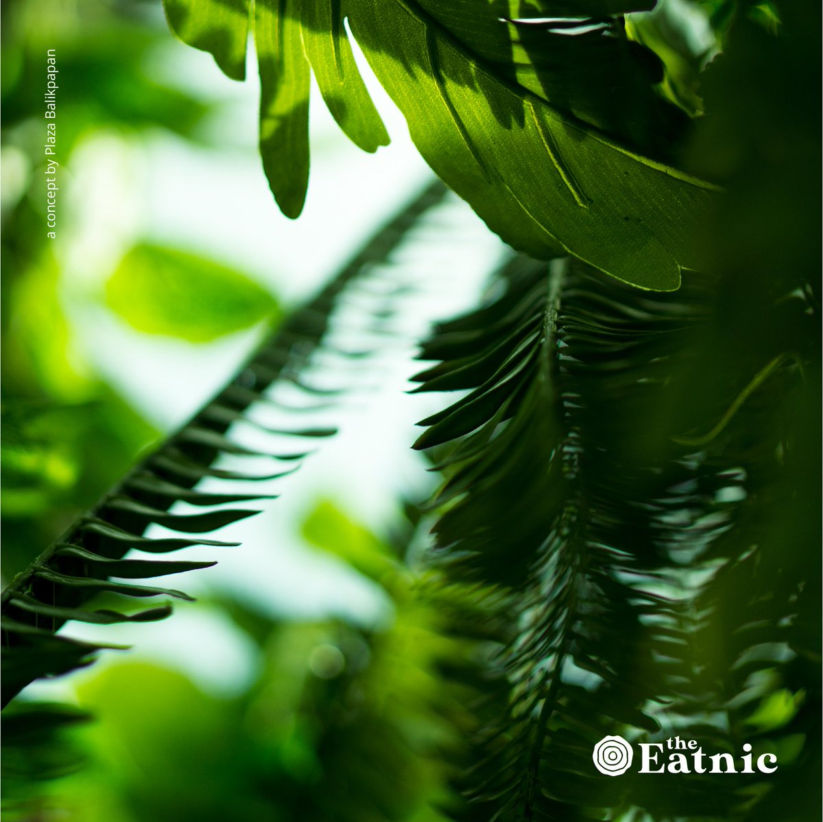 It is not so much for its beauty that the forest makes a claim upon men’s hearts, as for that subtle something, that quality of air that emanation from old trees, that so wonderfully changes and renews a weary spirit.

#theeatnic