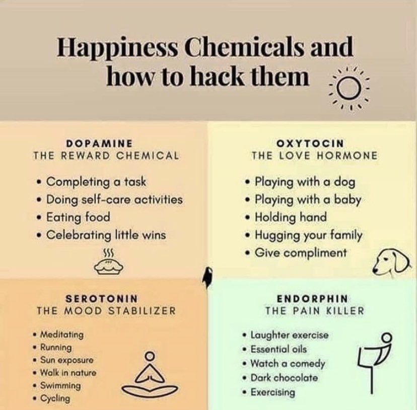 Kristina Araman Saadé tweet media