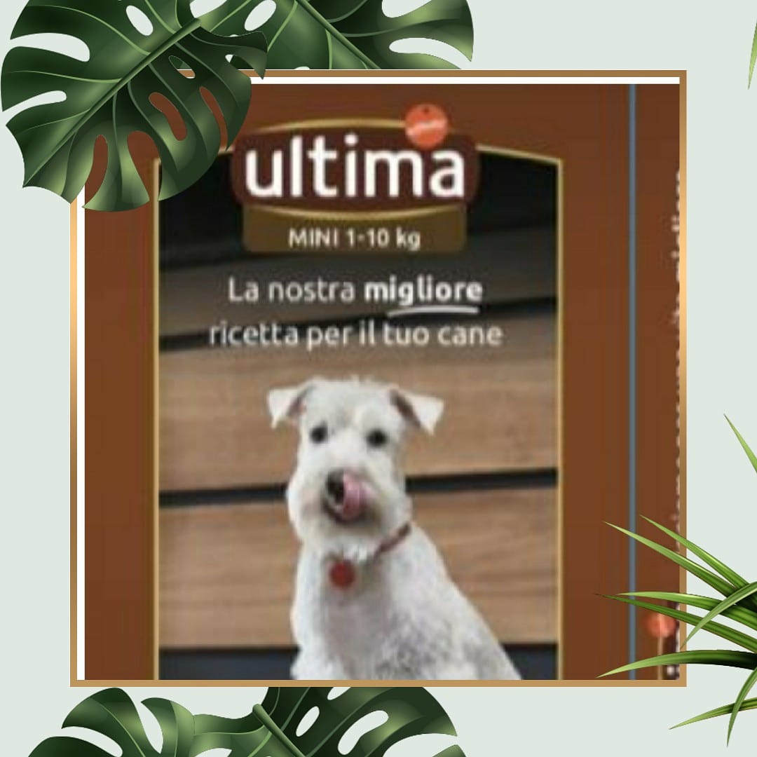 RHSupergaCuneo's tweet photo. Sempre più Pet Friendly. Grazie alla collaborazione con Affinity, in questo periodo concederemo una coccola in più ai nostri amici a quattro zampe presenti in hotel. #bestwesternitalia #ultimaaffinity https://t.co/uc1xD5vwjR