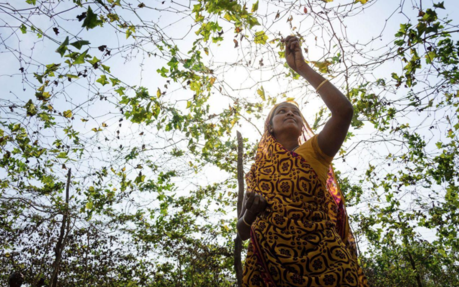 ComDev_Asia's tweet photo. At #COMDEVASIA, we recognize women #familyfarmers as the backbone of family farming. They are key players in our goal to have #foodforall.
Visit our website to check our materials on the role of women and youth in resilient family farming: https://t.co/7vO5r07QTK https://t.co/xhtnNn201u