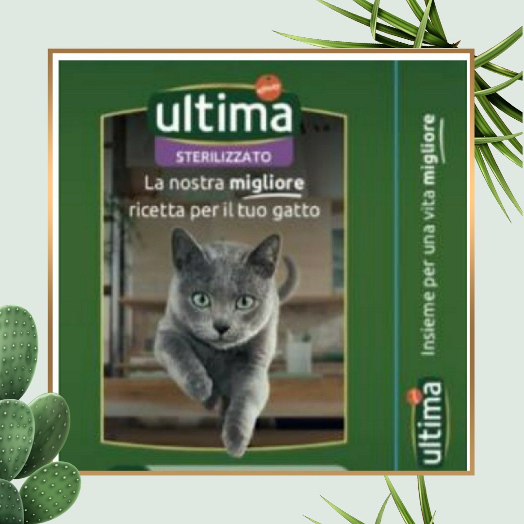 RHSupergaCuneo's tweet photo. Sempre più Pet Friendly. Grazie alla collaborazione con Affinity, in questo periodo concederemo una coccola in più ai nostri amici a quattro zampe presenti in hotel. #bestwesternitalia #ultimaaffinity https://t.co/LdIz5WoE9w