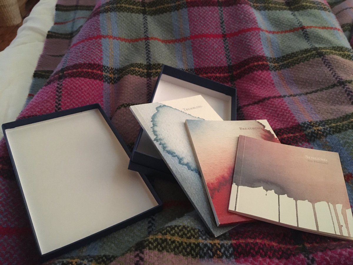 Maureen Boyle tweet media