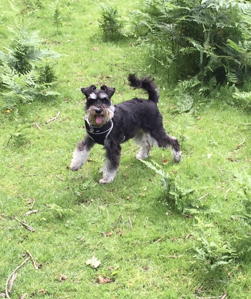 Dan Rose tweet media