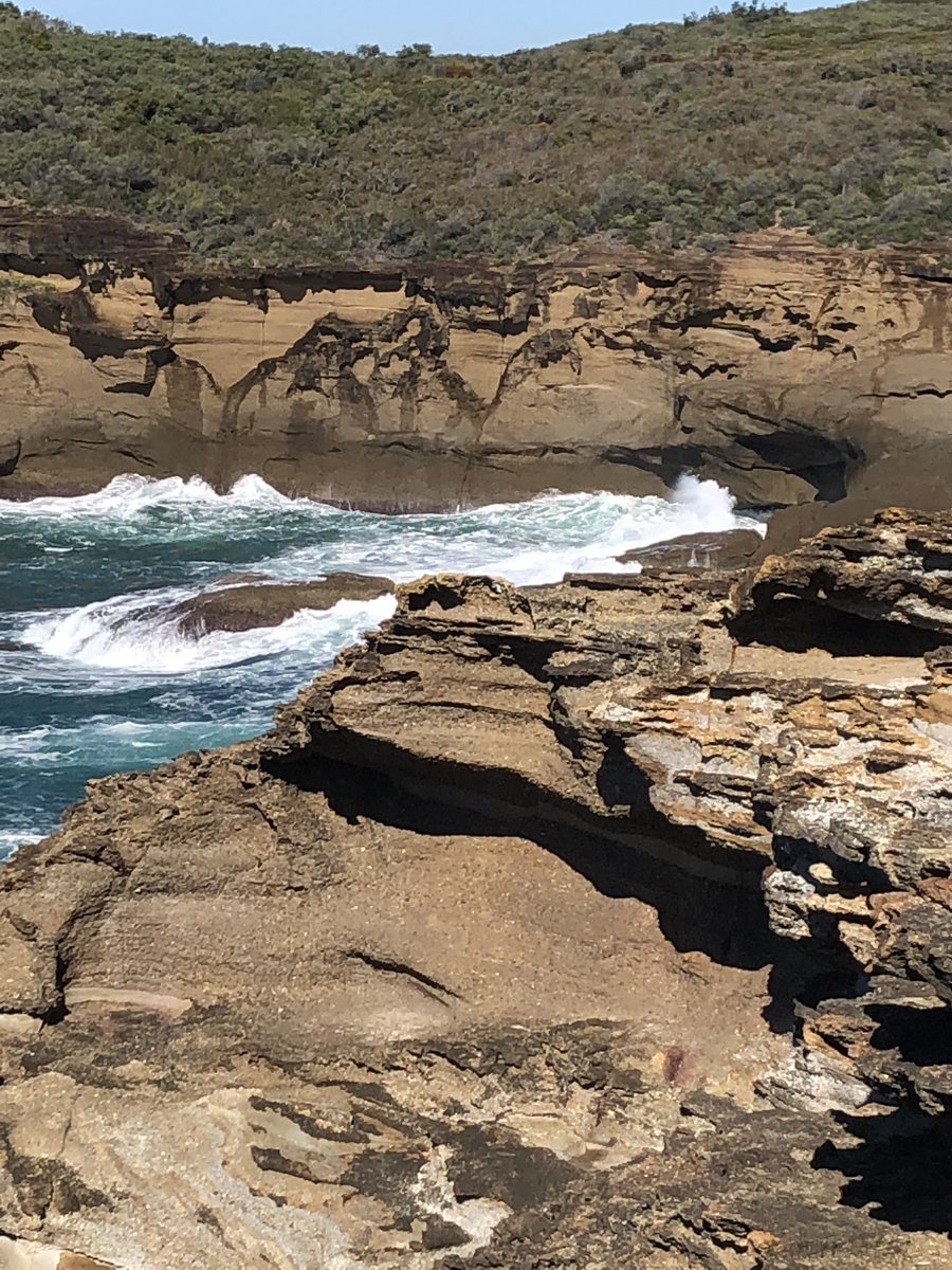 Newy Traveller tweet media