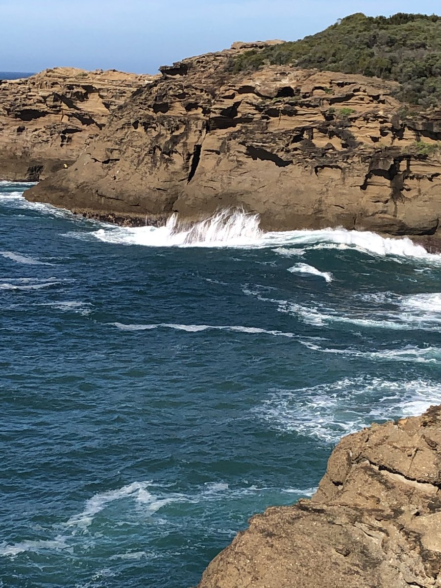 Newy Traveller tweet media