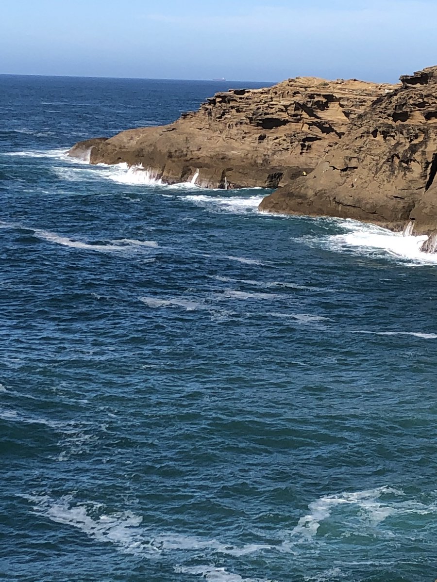 Newy Traveller tweet media