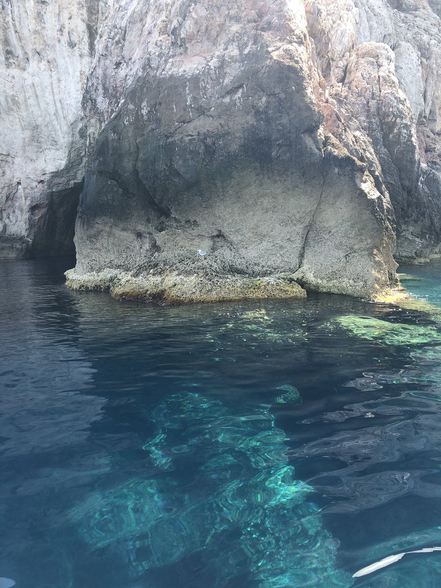 weirdaqua's tweet image. Ma dove altro lo trovi un mare così?

 *The island by Salmo playing softly in the background*

#Sardegna #magicisland #myisland