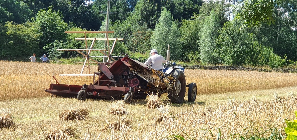 carol_warham's tweet photo. That time of year again. Watching from my garden.
#harvesting #yorkshireday #stooks #beautiful day https://t.co/BXKERB8jcF