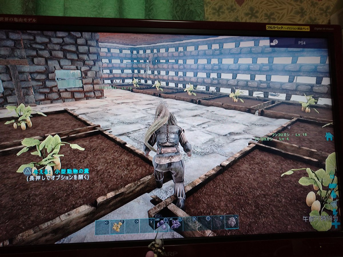 マロン 敷地の一部を仕切ってフンコロガシの牧場にしました 原油と堆肥を作ってもらう Ark マロン 敷地の一部を仕切ってフンコロガシの牧場にしました 原油と堆肥を作ってもらう Ark