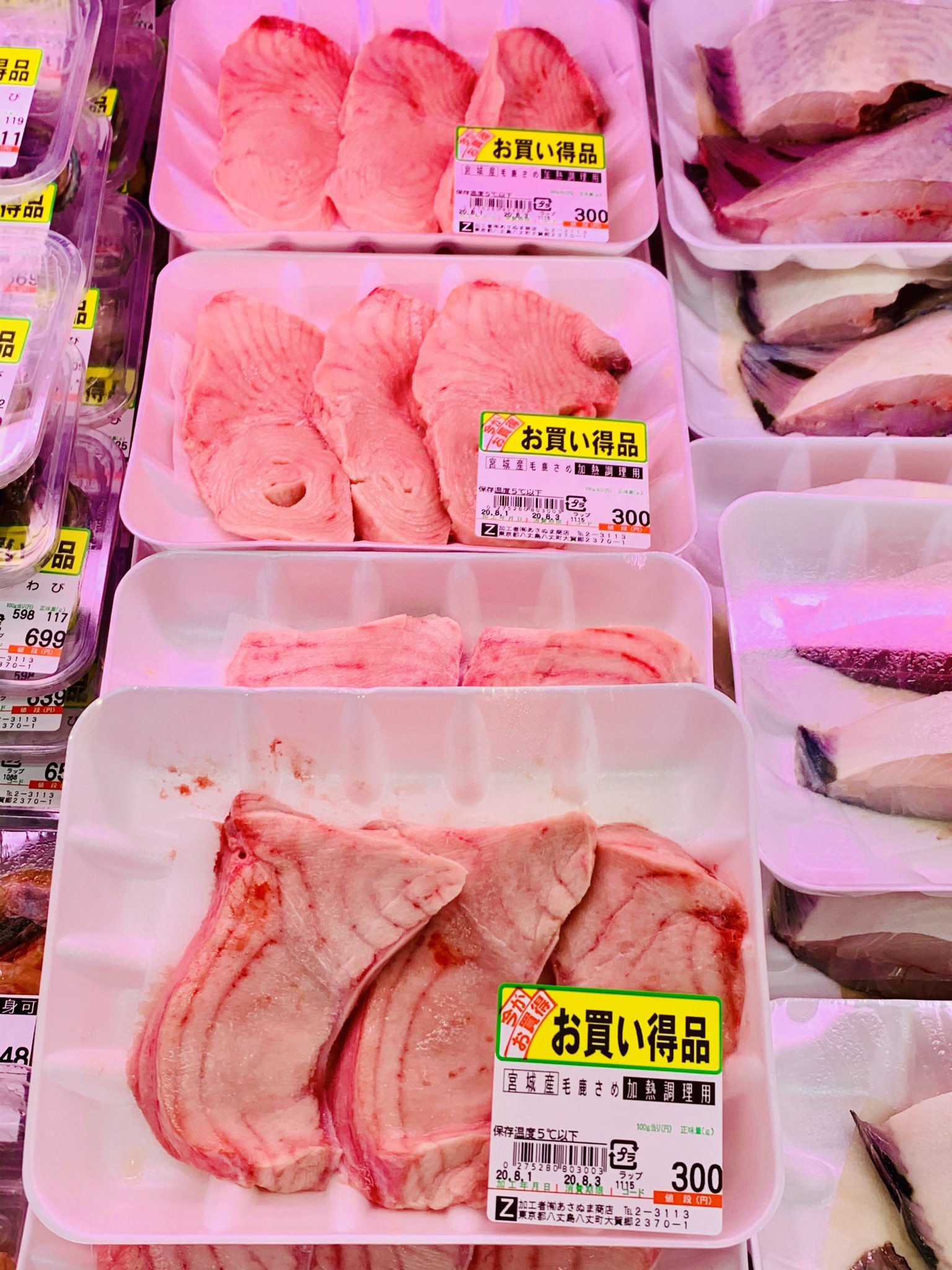 サメ肉 Twitter Search Twitter