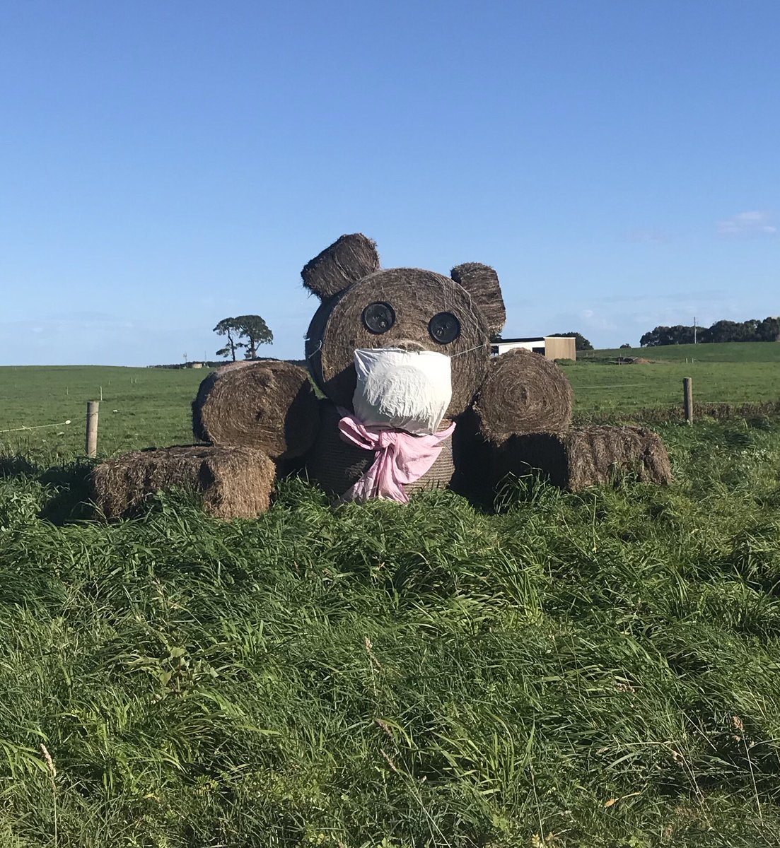 Hey <a href="/DanielAndrewsMP/">Dan Andrews</a>, words getting out in the south west pretty quick!! They’re masking up in Nirranda already 😷