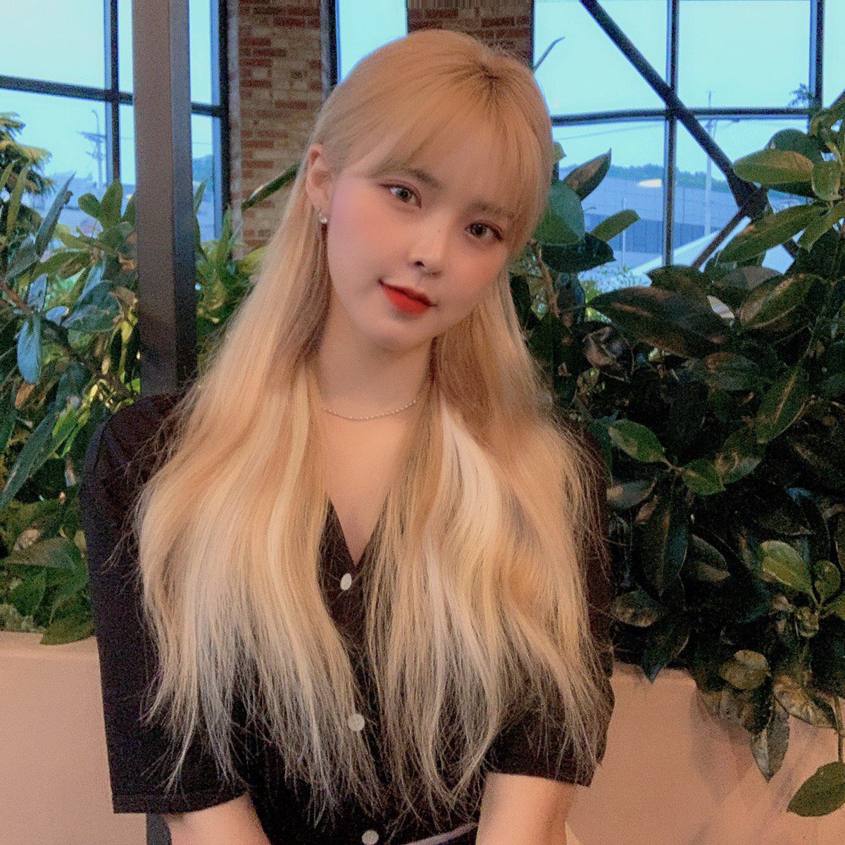 ANS_official tweet media