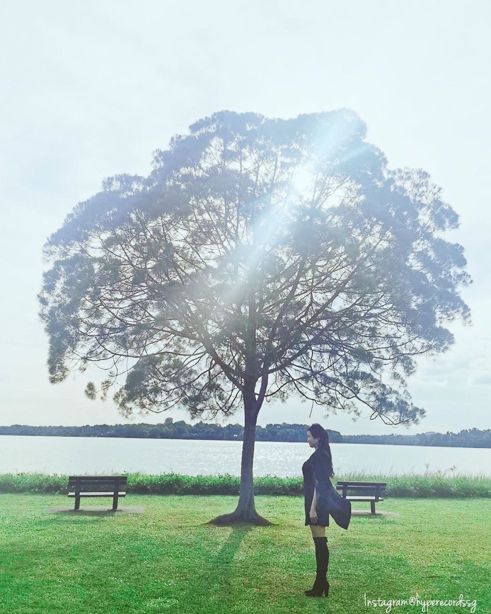 RBKD's tweet photo. Look for the magic in every moment. Have a lovely weekend.🌳💫 https://t.co/yW2xOXaTvT