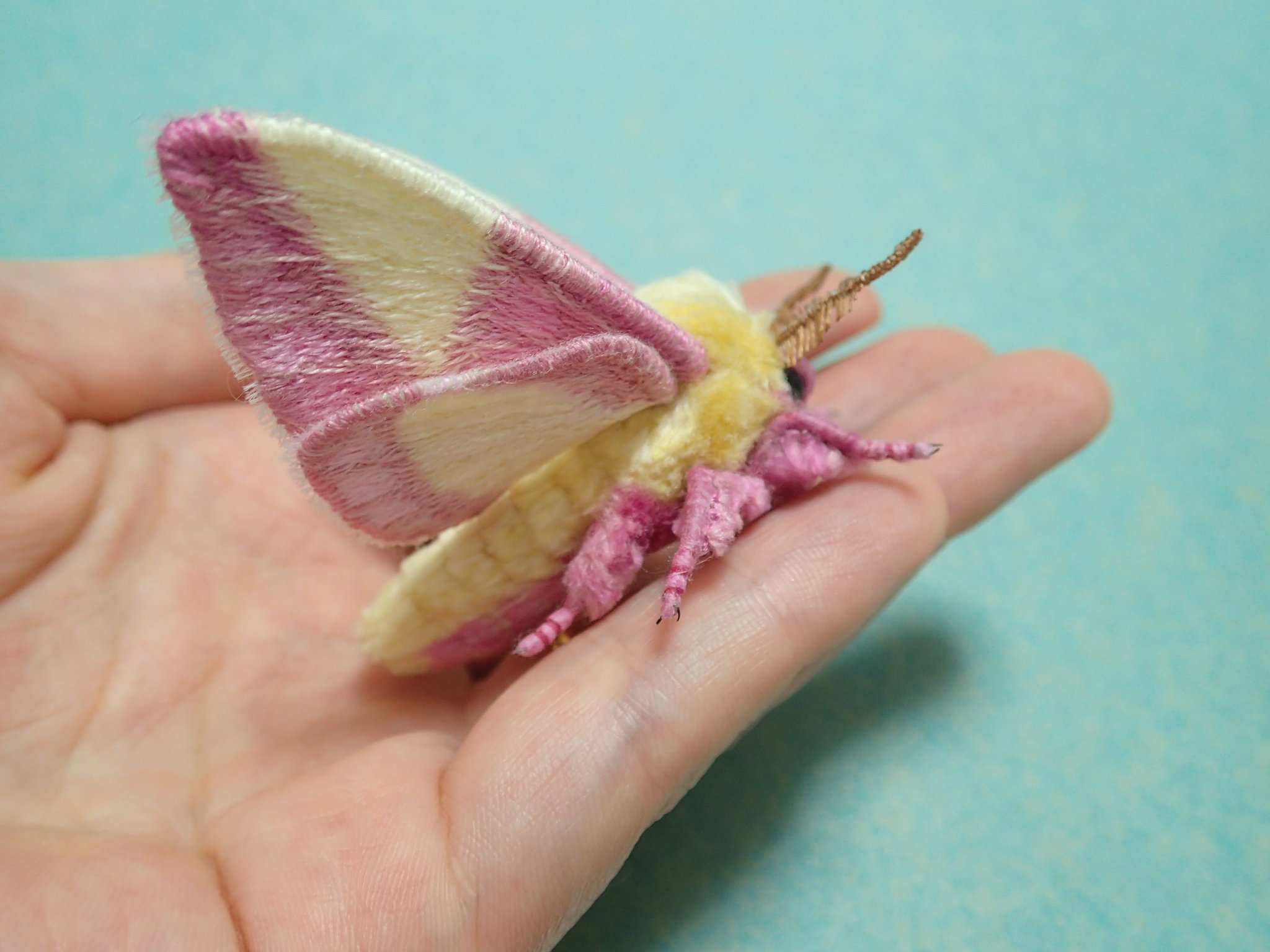 蛾売りおじさん ロージーメープルモスさんの蛾ブローチ出来ました 蛾ブローチ