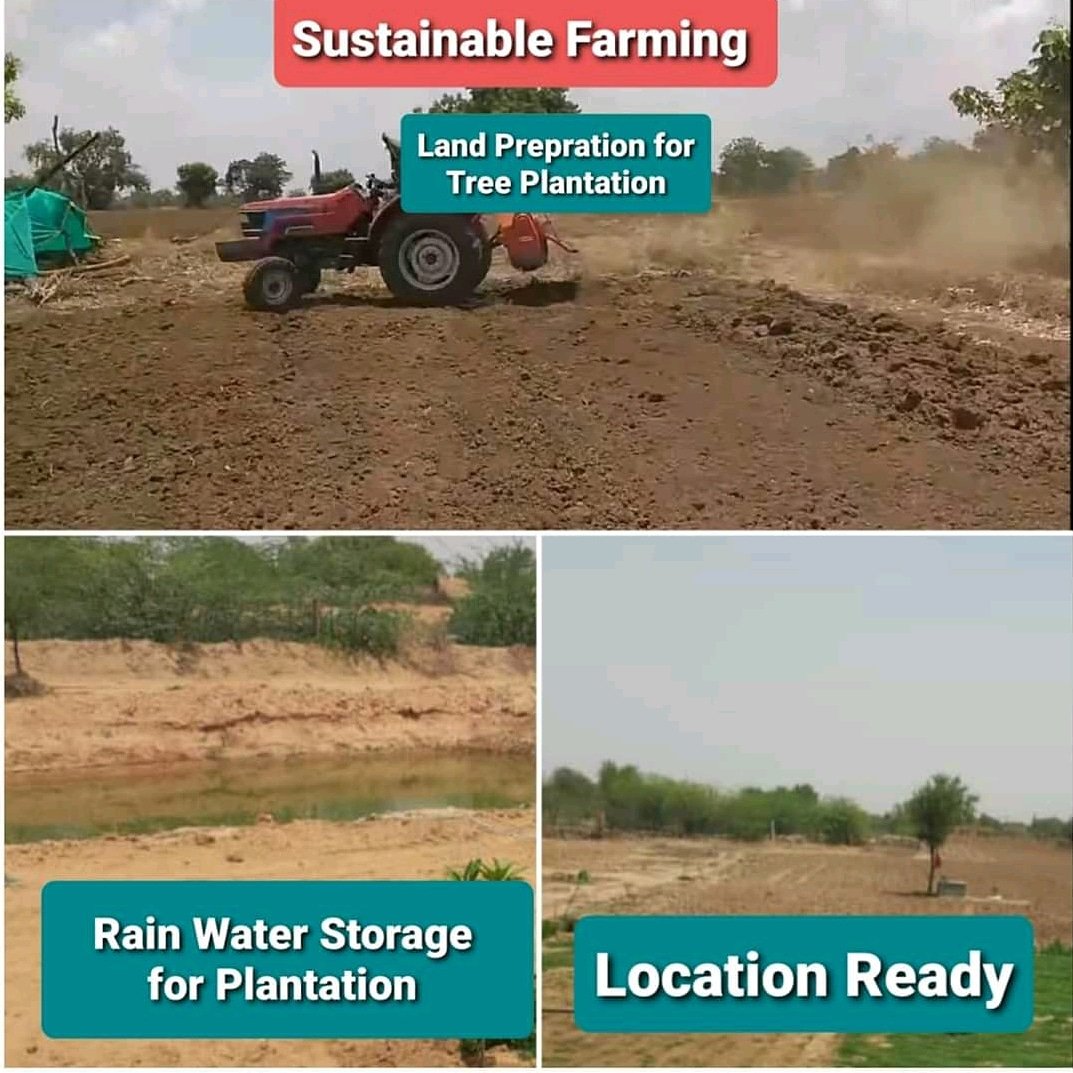 wtswfoundation's tweet photo. Sustainability is the way to future!

WTSWF knows that future relies on our actions today! 
Our team is devoted towards sustainable farming - rain water storage, land preparation for tree plantation and more!
Join hands with us; Support us in our work. https://t.co/QM0xdyrQyh