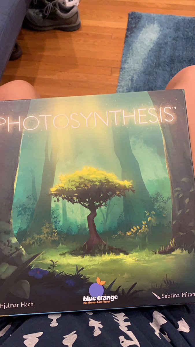 PHOTOSYNTHESIS: you play as a forest that just wants to grow  the worst thing that happens to you in this game is you spend a day in shadow. So pure. Better played with fewer people though because otherwise it gets slow. 3.5/5