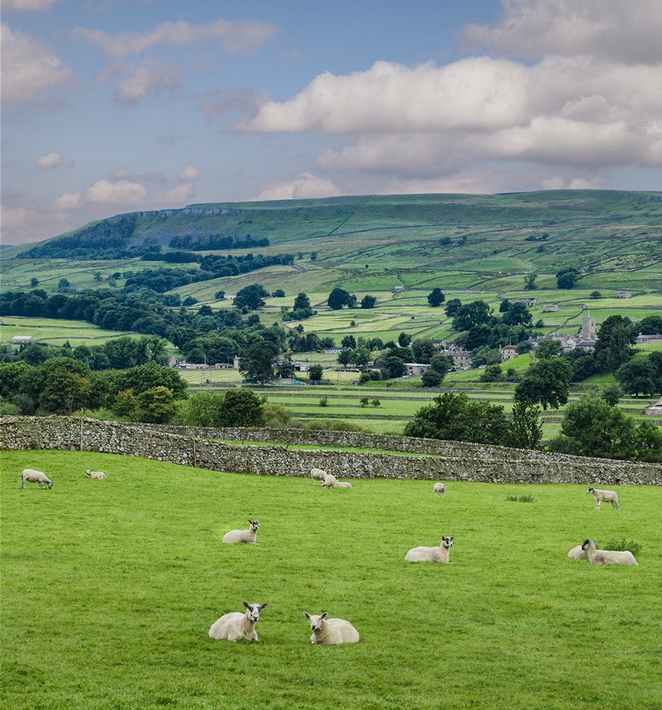 bucktrout_'s tweet photo. Happy Yorkshire Day 

#yorkshireday #yorkshiretweed #yorkshireheritage https://t.co/OCy9X7VNES
