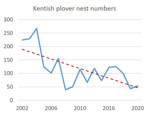 Afonso Rocha (@afonso_dr_rocha) on Twitter photo Better than last year but still not enough. Costal breeding pops of #Kentishplovers in West Europe are declining. Pop of #Tagus #saltpans (#Alcochete ) is a "good" example of what this species is facing: habitat loss and #predation rise. @CESAM_Univ <a href="/eco_flyway/">Eco Flyway</a> Better than last year but still not enough. Costal breeding pops of #Kentishplovers in West Europe are declining. Pop of #Tagus #saltpans (#Alcochete ) is a "good" example of what this species is facing: habitat loss and #predation rise. @CESAM_Univ <a href="/eco_flyway/">Eco Flyway</a>