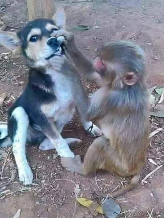 iamyudhvir's tweet photo. डॉक्टर साहब आ चुके है, दांतों का फ्री चेकप करवा ले, ऑफर केवल आज आज के लिए। https://t.co/EZIEgSSMjN