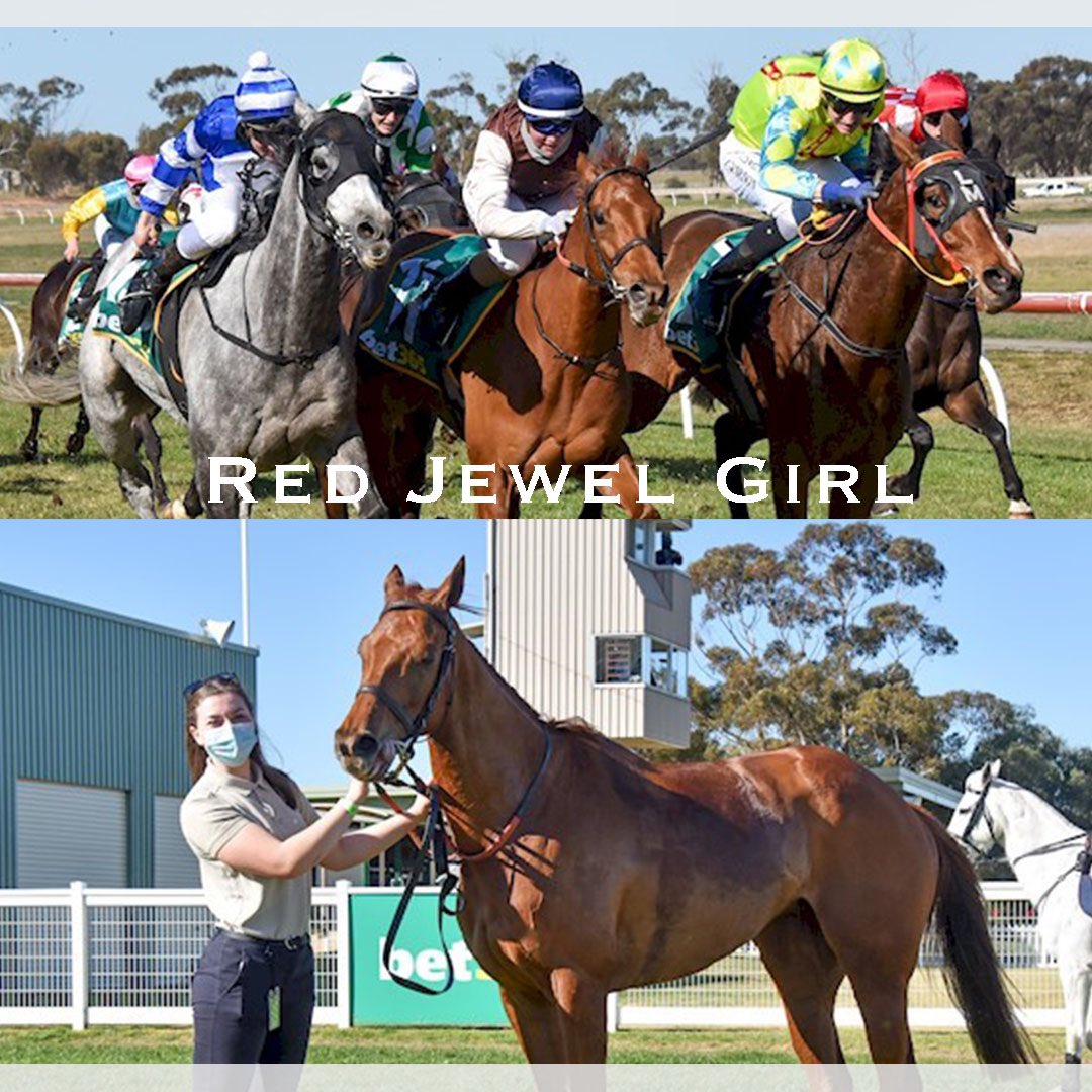 CumaniRacing's tweet photo. Red Jewel Girl 🌟
(Red Giant x Dolce Bella)
Wins with a strong sprint to the line in the 0-58 2000m @donaldracingclub under @ljdoodt
Making it our first runner and first winner for the season!
Congratulations to all connections!
.
T: @cumani_racing_aus
#trainingwinners https://t.co/zFoEYrROhO